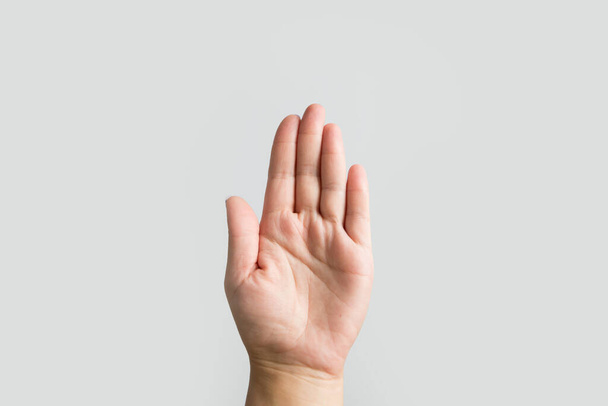 mano femenina aislada sobre fondo blanco. Palma sobre blanco - Foto, Imagen