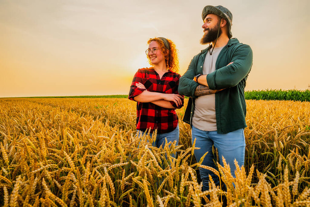 Aile tarım işgali. Erkek ve kadın buğday yetiştiriyor. Bitkilerin iyi gidişatından memnunlar.. - Fotoğraf, Görsel