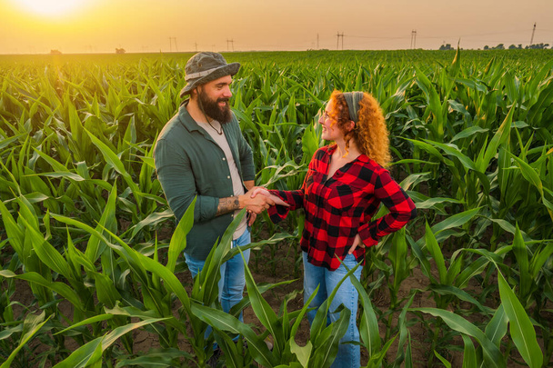 Сімейна сільськогосподарська діяльність. Чоловік і жінка вирощують кукурудзу. Вони задоволені хорошим прогресом рослин
. - Фото, зображення