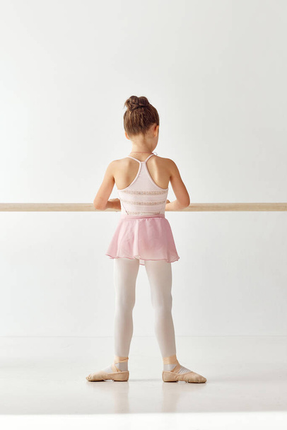 Rear view portrait of small adorable ballerina dancer girl in rose tutu ballet dress white legging practicing for performance. Education lessons in dance school. Concept of beauty, fashion, hobby. - Photo, Image