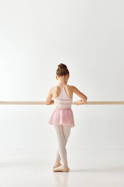 Rear view portrait of small adorable ballerina dancer girl in rose tutu ballet dress on pointe shoes classic variation. Education lessons in dance school . Concept of beauty, fashion, hobby, action. - Photo, Image