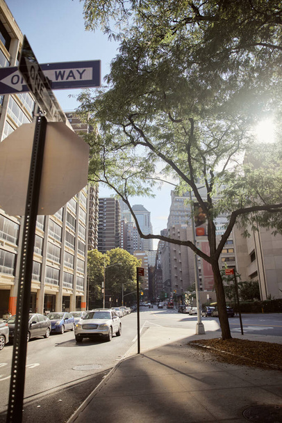 Широкий проспект с современными зданиями, автомобилями и осенними деревьями в солнечный день в Нью-Йорке, осенняя сцена - Фото, изображение