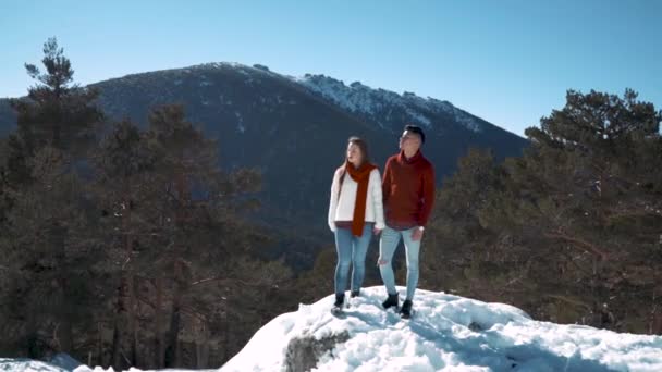 jovem casal apaixonado na floresta nevada de inverno - Filmagem, Vídeo