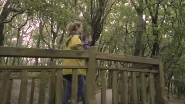 Giri diurni di coppia romantica passeggiando nel parco verde, ora di sera  - Filmati, video