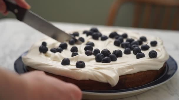 Cultivez une personne méconnaissable en coupant avec un couteau décoré gâteau au chocolat appétissant avec crème blanche et bleuets frais - Séquence, vidéo