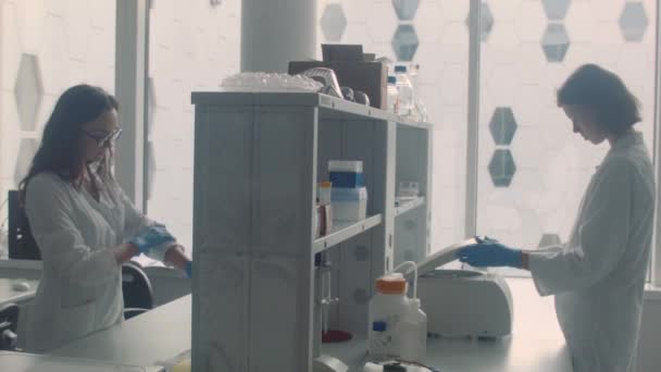 Wissenschaftlerinnen arbeiten im Labor - Filmmaterial, Video