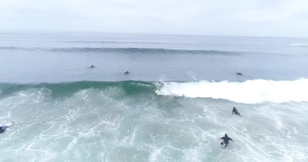 Surferzy łapią fale w oceanie  - Materiał filmowy, wideo