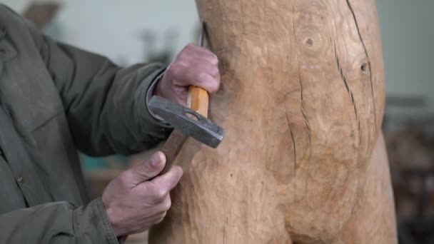 Κοντινό πλάνο του ξυλουργού master που εργάζεται με ξύλο - Πλάνα, βίντεο