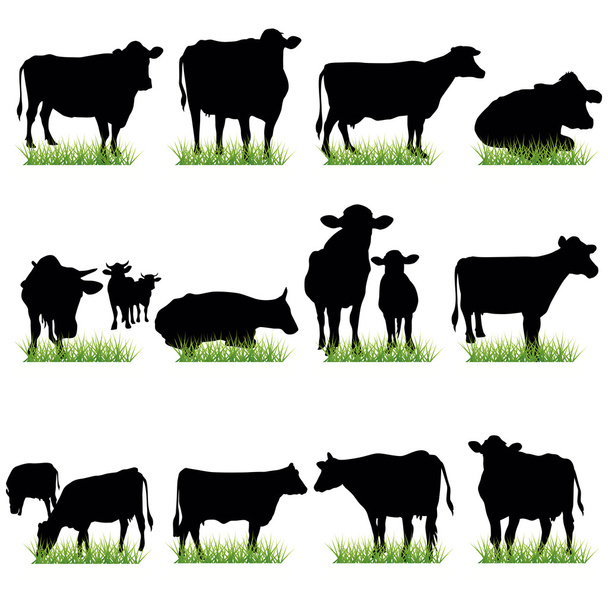 Cows Silhouettes Set - Vector, Image