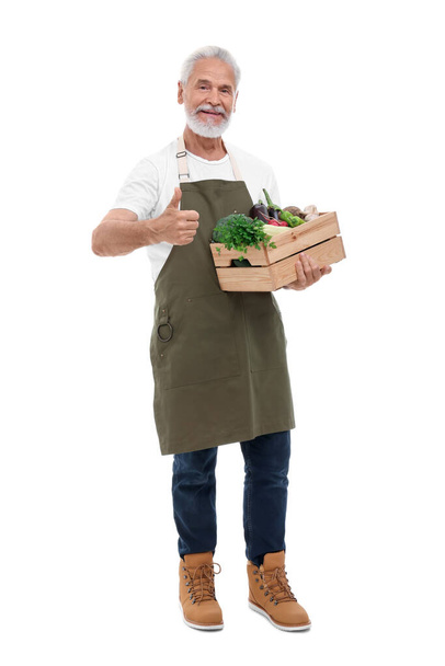 Harvesting season. Happy farmer holding wooden crate with vegetables and showing thumb up on white background - Photo, image