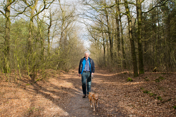Senior man walking dog in forest - Fotografie, Obrázek