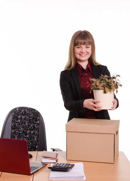 Oficina de chica sobre escritorio mantiene flor interior en maceta
 - Foto, imagen