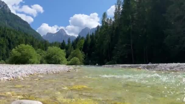 La rivière Pisnica à Kranjska Gora dans la région de la Haute-Carniole dans le nord-ouest de la Slovénie. C'est un affluent de la rivière Sava Dolinka. Paysages naturels dans le parc national du Triglav. Kranjska Gora, Slovénie - Séquence, vidéo