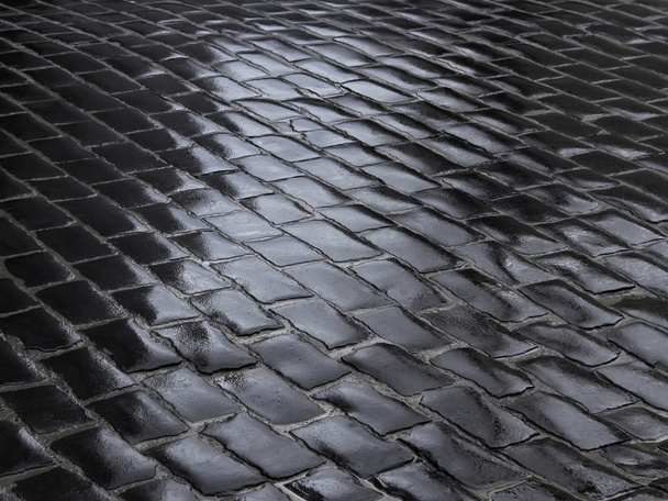 Fragment of wet cobbled road - Photo, Image