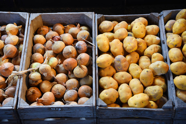 Broek op Langendijk, Niederlande. 17. Juli 2023. Holzkisten mit Kartoffeln, Zwiebeln und Kohl. Hochwertiges Foto - Foto, Bild