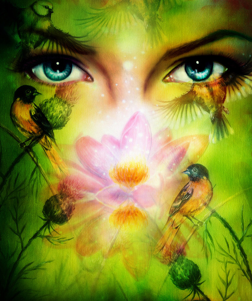 Bella illustrazione, blu bontà donne occhi raggianti incantevole da dietro un fiore di loto rosa in fiore, con uccelli su sfondo multicolore contatto visivo
 - Foto, immagini