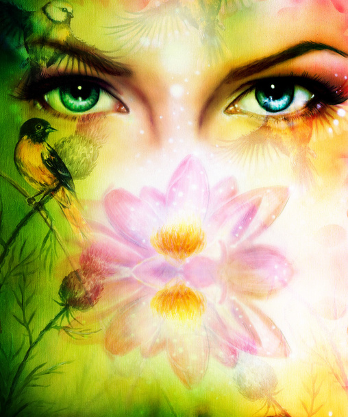 Pintura de color, par de hermosos ojos azules de mujeres que brillan encantando desde detrás de una flor de loto rosa en flor, con aves en contacto visual de fondo multicolor
 - Foto, Imagen