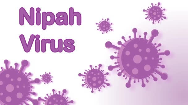 nipah virus 4k animation fledermausvirus indisches virus greenscreen banner lila virus hintergrund - Filmmaterial, Video