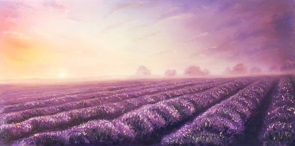 Peinture à l'huile originale des champs de lavande sur toile.Paysage unis. lumière du matin rose et violet, illustration de la couleur
. - Photo, image