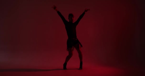 La silueta de una talentosa bailarina caucásica se mueve con gracia contra un llamativo telón de fondo rojo. Su danza, esbozada en sombras, crea una composición visualmente cautivadora y dramática. - Metraje, vídeo