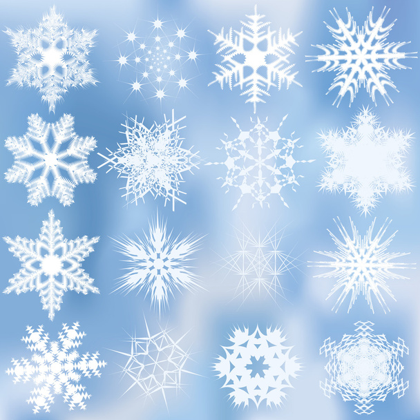 Set of beautiful complex snowflakes - Vector, Image