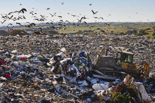 Heavy machinery shredding garbage in an open air landfill. Waste - Zdjęcie, obraz