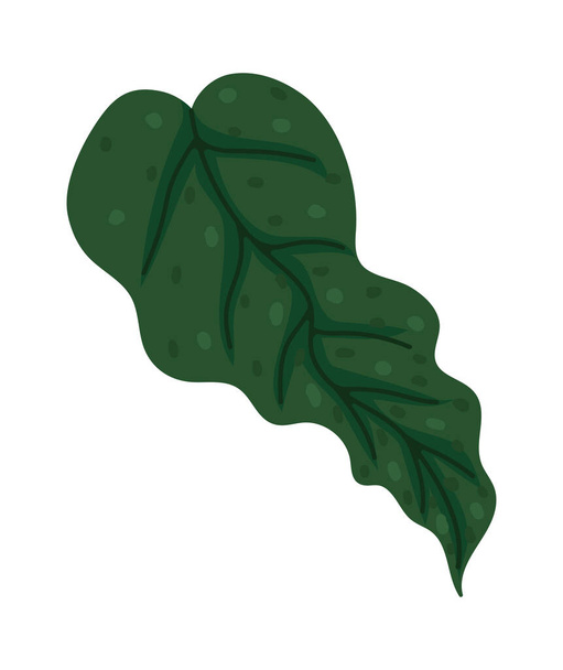 екзотична рослина листя натуральна ілюстрація ізольована - Вектор, зображення