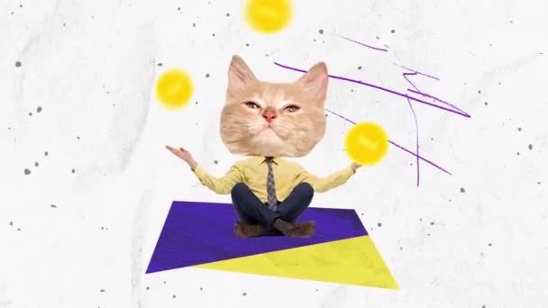Zastavit pohyb. Animace. Pyšný, úspěšný obchodník s kočičím čenichem sedící kolem zlatých medailí za dobré projekty. Obchod, zaměstnání, kancelářský životní styl, úspěch, kariérní koncepce. Tvůrčí design - Záběry, video