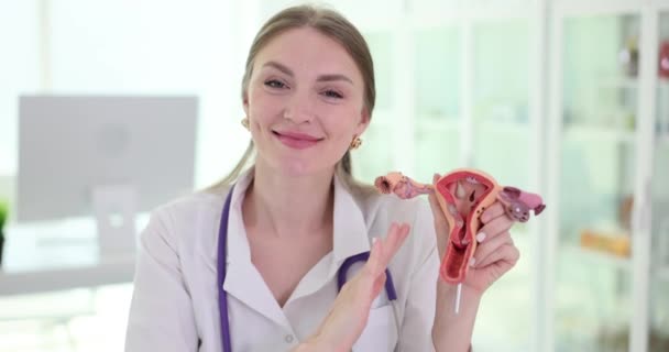 Усміхнений лікар показує анатомічну модель матки. Гінекологічні дослідження та акушерська підготовка - Кадри, відео