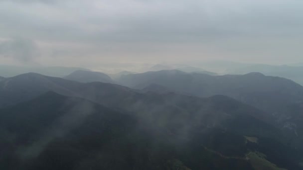 Drone luchtbeelden van rivier Drina en Tara berglandschap. Servië. Zomer. Mist.  - Video