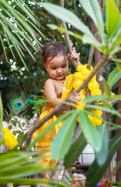 adorable bébé habillé comme hindou dieu krishna mignon expression faciale jouer à l'arbre à janmashtami - Photo, image