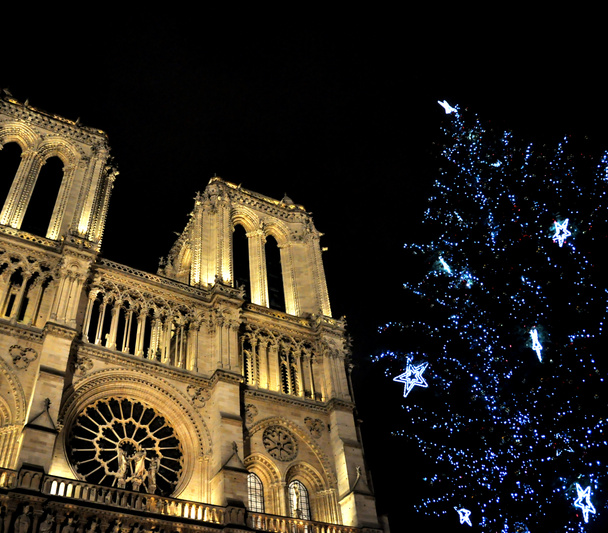 Notre-Dame de Paris jouluna
 - Valokuva, kuva