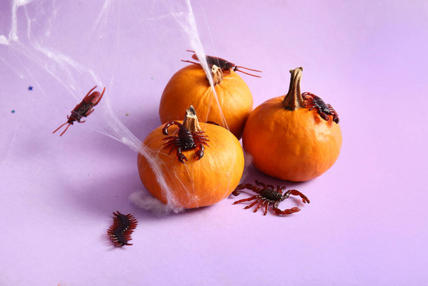 Composizione di Halloween con insetti caramella e zucche su sfondo lilla - Foto, immagini