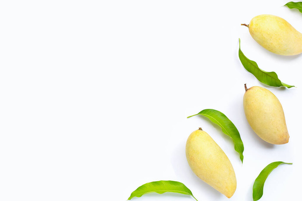 Trooppisia hedelmiä, mango valkoisella taustalla. Yläkuva - Valokuva, kuva