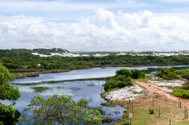 Salvador, Bahia, Brezilya - 7 Haziran 2015: Bahia 'nın Salvador kentindeki Parque das Dunas' taki kum örtüsü ve nehrin tepesinden manzara. - Fotoğraf, Görsel