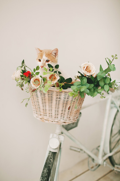 Cat with flowers in wicker basket of white retro bisycle - Foto, afbeelding