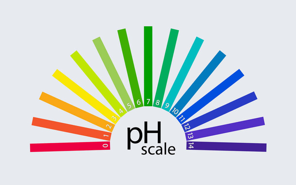 Happo- ja emäksisten liuosten pH-asteikko. Happo-emästasapaino infografinen. Vektoriesimerkki - Vektori, kuva