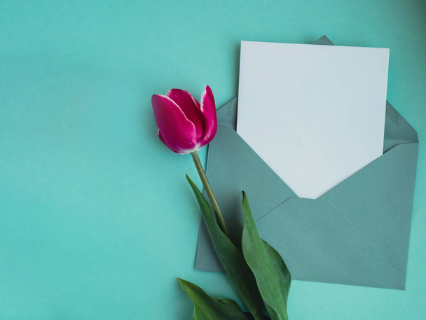 Pusta biała koperta kopiuj miejsce na tekst lub projekt z pięknym różowym tulipanem na niebieskim tle. Makieta szablonu świątecznej wiosennej kartki z życzeniami. Widok z góry Flat lay blank papier Kobieca koncepcja - Zdjęcie, obraz