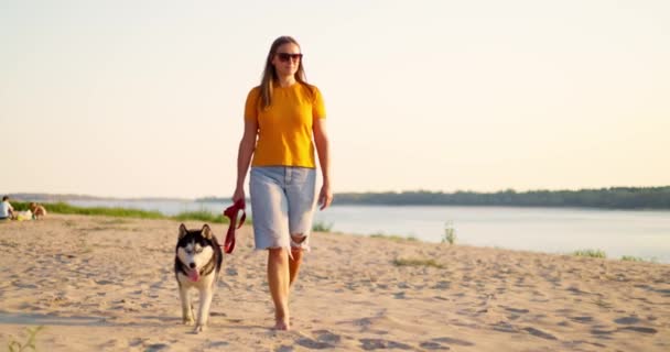 Giovane donna godendo passeggiata serale con il suo cane da compagnia sulla spiaggia in estate. Filmati 4k di alta qualità - Filmati, video