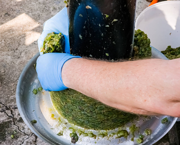 The process of making homemade grape wine. A winemaker collects grape pulp from a hydraulic press. - Photo, Image