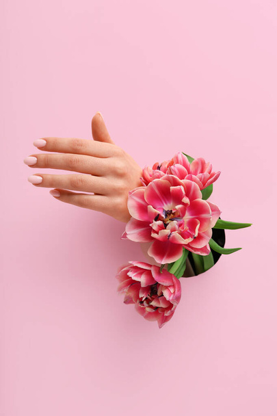 Женская рука с тюльпанами видна через отверстие в розовой бумаге - Фото, изображение