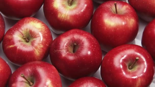 Rotierende rote Äpfel - Filmmaterial, Video