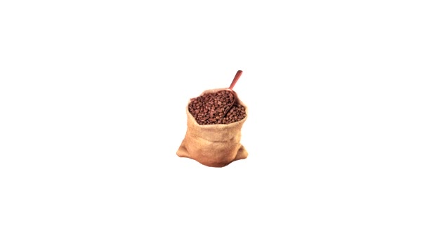 Kahve çekirdekleri bir çuval içinde kepçe ile - Video, Çekim