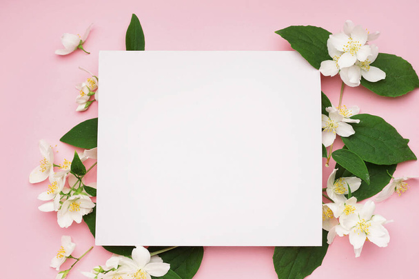 Σύνθεση με λευκή κάρτα και όμορφα λουλούδια γιασεμί σε ροζ φόντο - Φωτογραφία, εικόνα