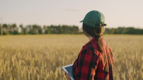 Жінка-фермер проходить по ґрунтовій дорозі поблизу пшеничного поля, спостерігає за землею та пшеничним врожаєм. Ділова жінка аналізує урожай зерна. Агробізнес. Екологічний. Високоякісний запис відео 4k - Кадри, відео