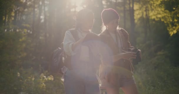 Молоді жінки-мандрівниці досліджують ліс один з одним під час сонячного дня - Кадри, відео
