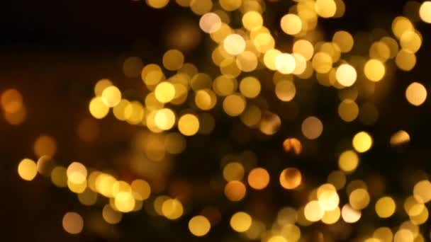 Árbol de Navidad fondo bokeh. Guirnaldas brillantes en el fondo del árbol de Navidad. Imágenes de 4k - Imágenes, Vídeo