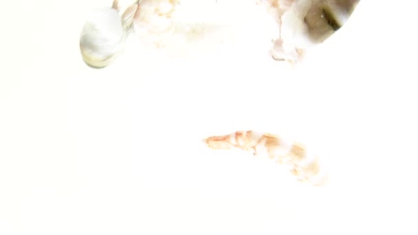 Colas de gambas flotando en el agua
 - Metraje, vídeo