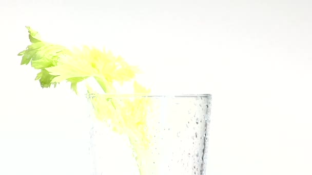 öntés egy pohár paradicsomlé - Felvétel, videó