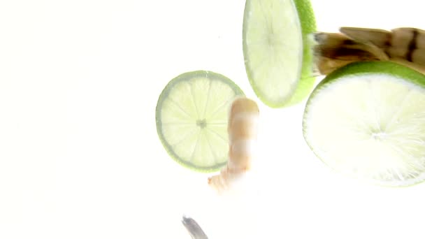 Prawn tails and lime slices floating in water - Filmati, video